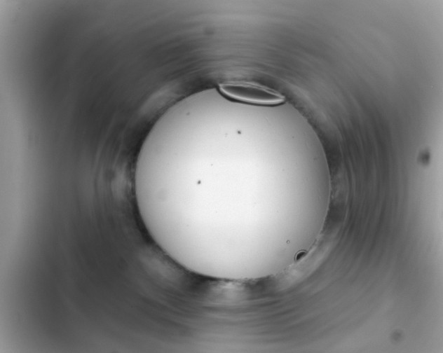 X0000102400140200808151951