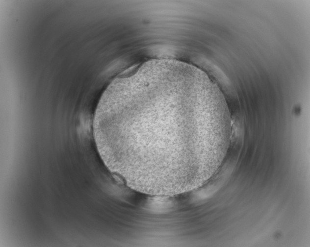 X0000102400141200808151951