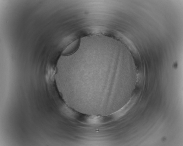 X0000102400142200808151951