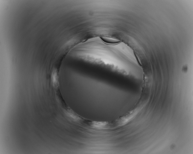 X0000102400143200808151951