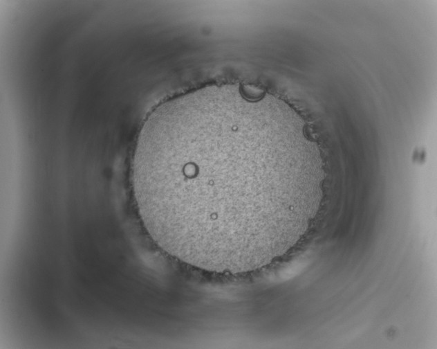 X0000102400144200808151951