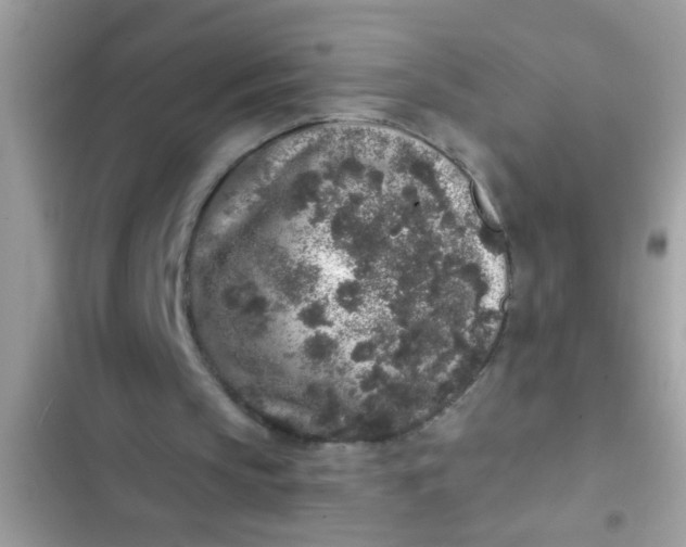 X0000102400145200808151950