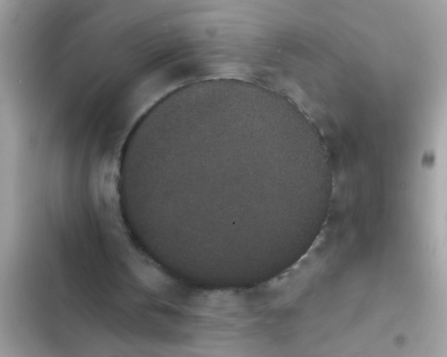 X0000102400146200808151950