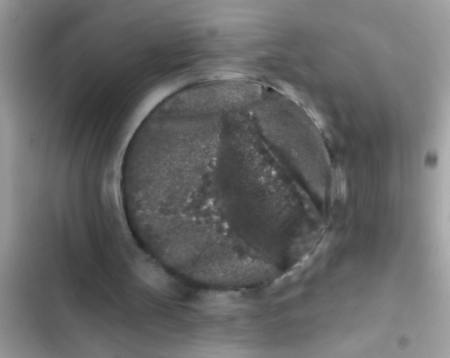 X0000102400147200808151950