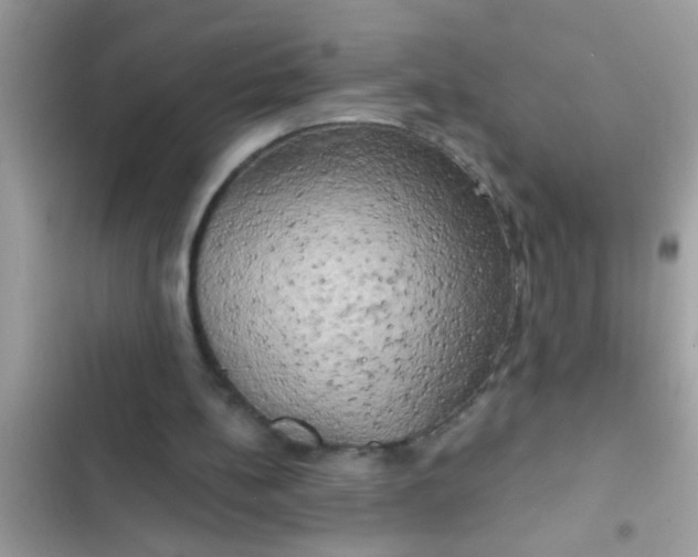 X0000102400148200808151950