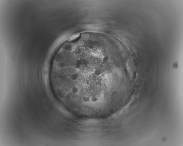 X0000102400149200808151950