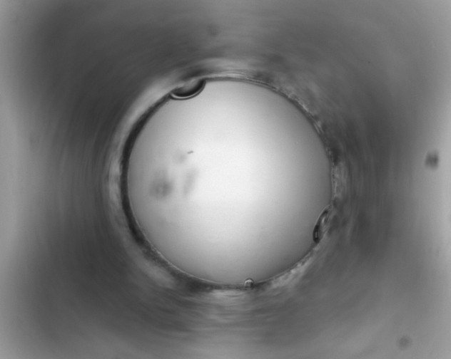 X0000102400150200808151950