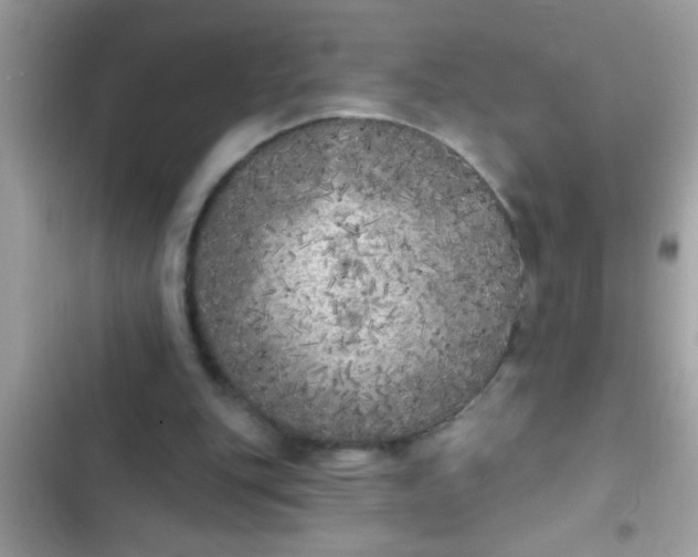 X0000102400151200808151950