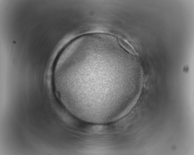 X0000102400152200808151950