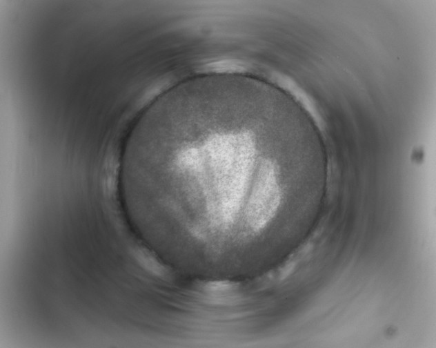 X0000102400153200808151950