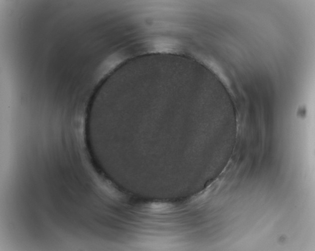 X0000102400154200808151951