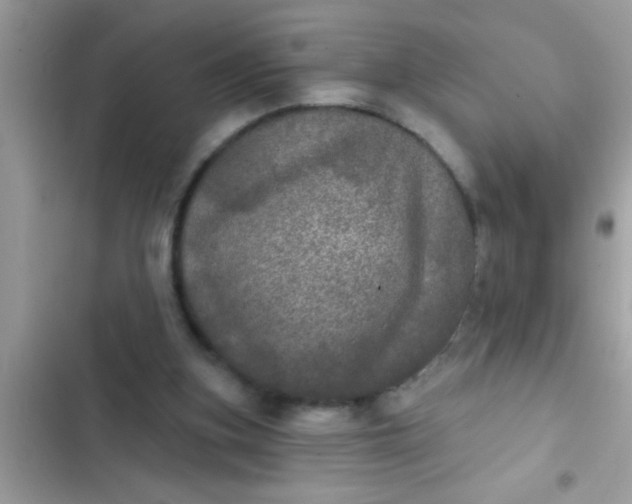 X0000102400155200808151951