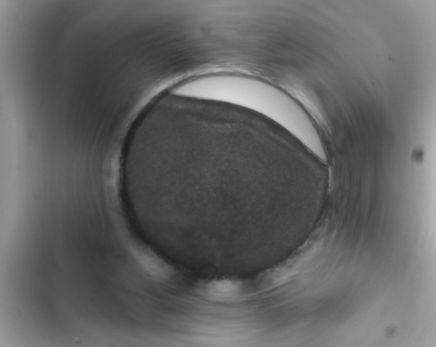 X0000102400156200808151951