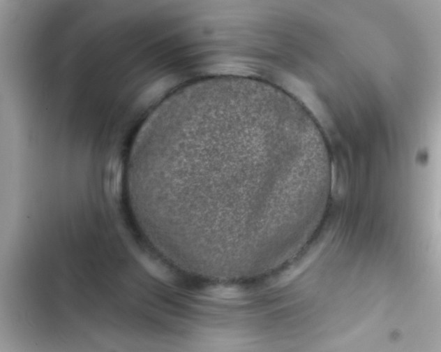 X0000102400157200808151951