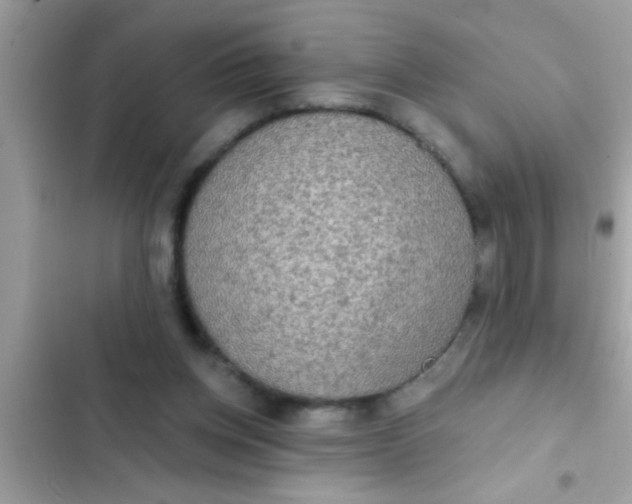 X0000102400158200808151951