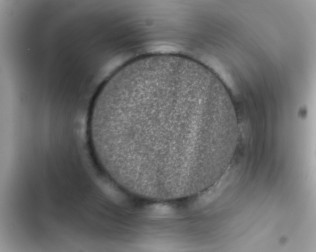 X0000102400159200808151951