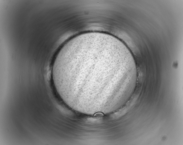 X0000102400160200808151951