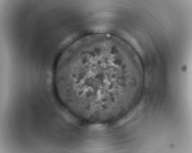 X0000102400161200808151951