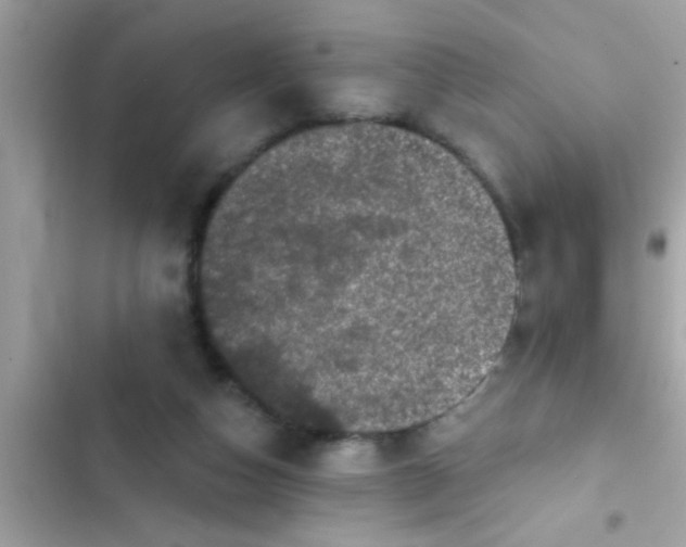 X0000102400162200808151951