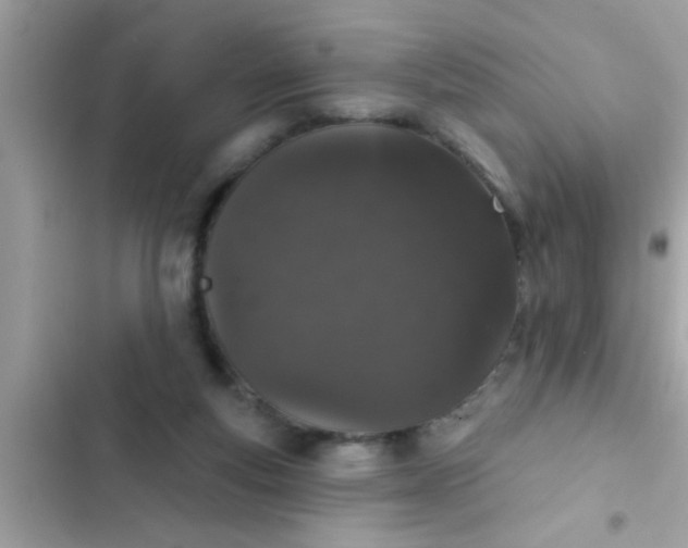 X0000102400163200808151951