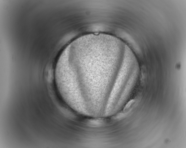 X0000102400164200808151951