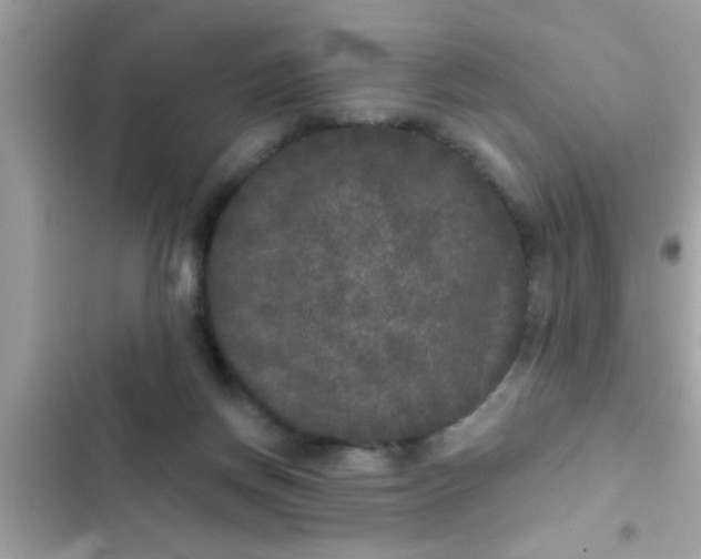 X0000102400166200808151951