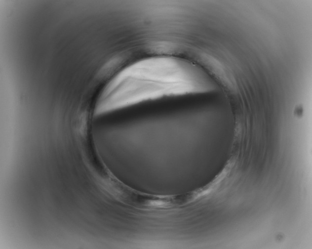 X0000102400167200808151951