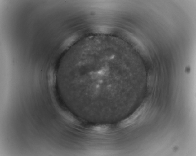 X0000102400168200808151951