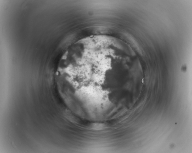 X0000102400169200808151951