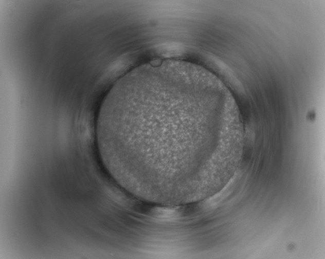 X0000102400170200808151951