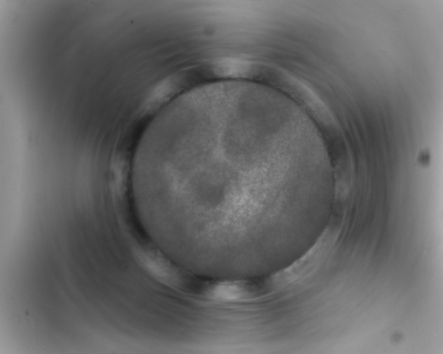 X0000102400171200808151951