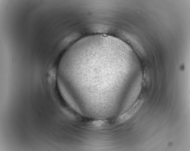 X0000102400172200808151951