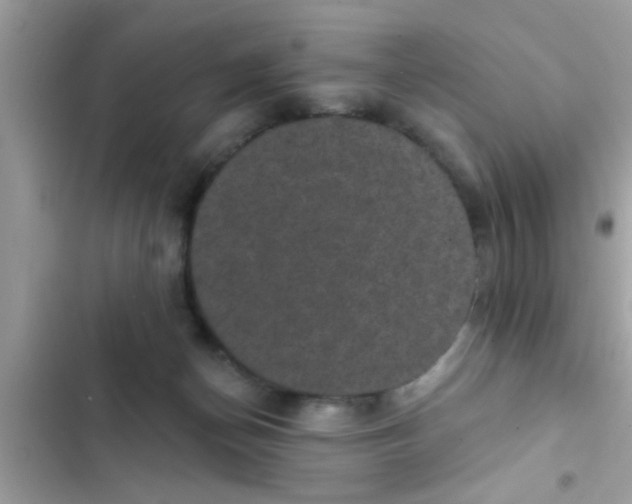 X0000102400174200808151951