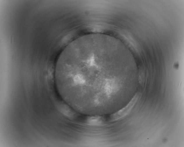 X0000102400175200808151951