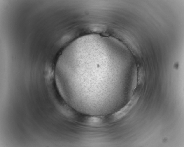 X0000102400176200808151951