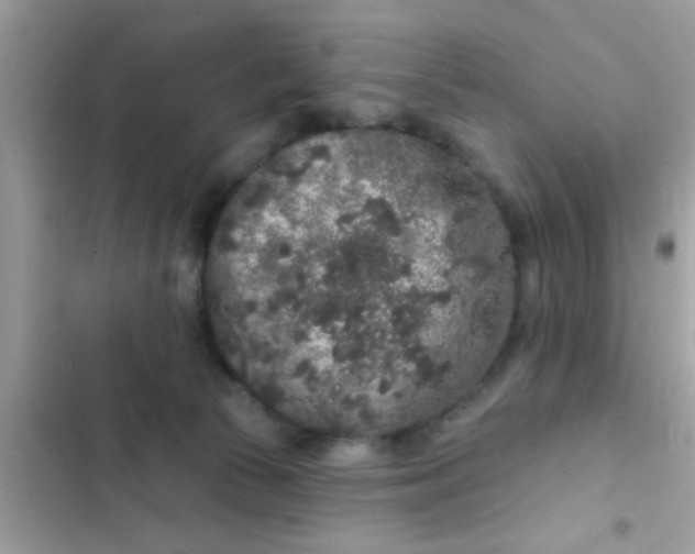 X0000102400177200808151951