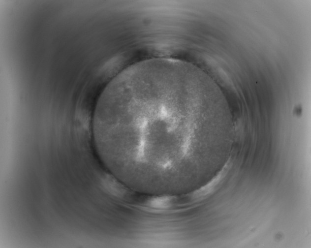 X0000102400178200808151951