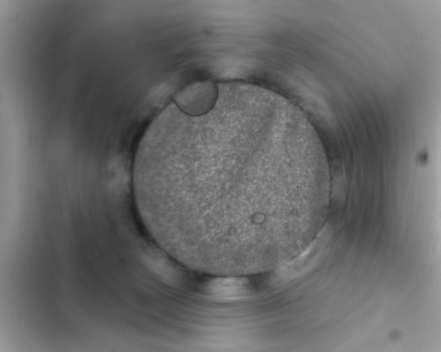 X0000102400179200808151951