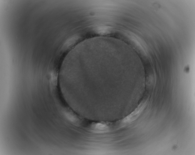 X0000102400180200808151951