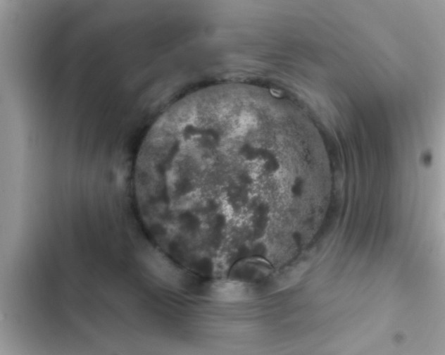 X0000102400181200808151951