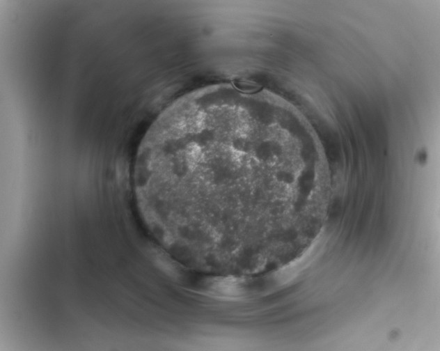 X0000102400182200808151951