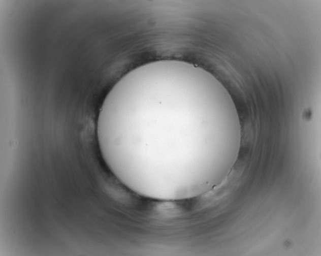 X0000102400183200808151951