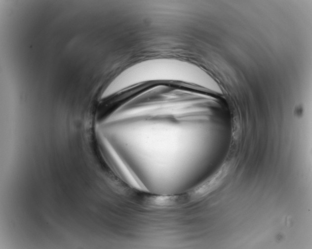 X0000102400184200808151951