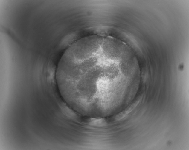 X0000102400185200808151951