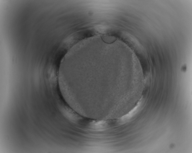 X0000102400186200808151951