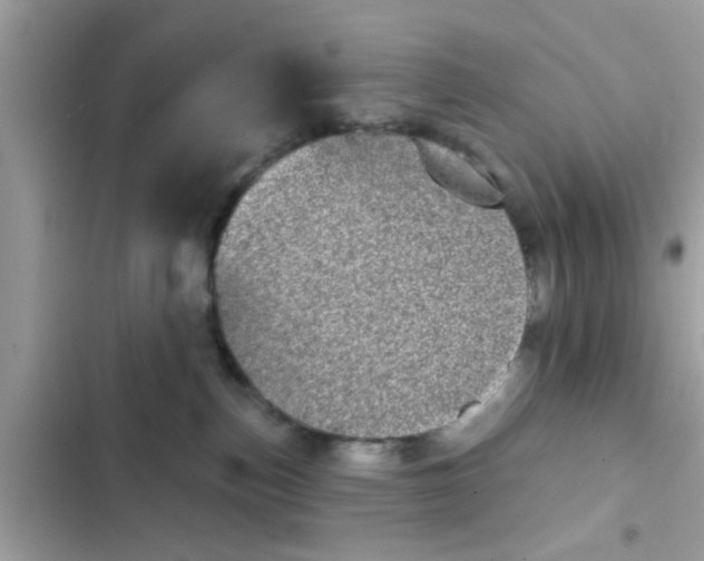 X0000102400187200808151951