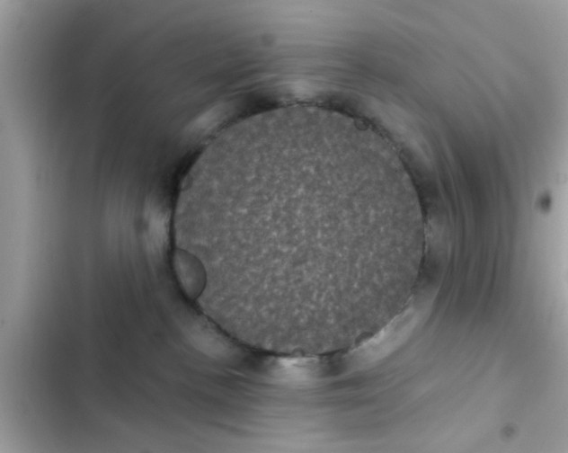 X0000102400188200808151951