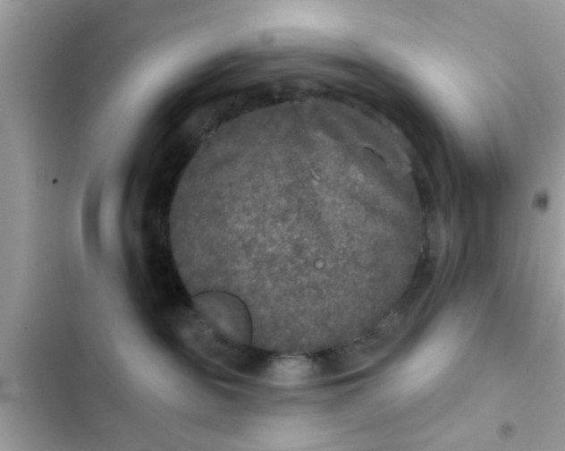 X0000102400189200808151951