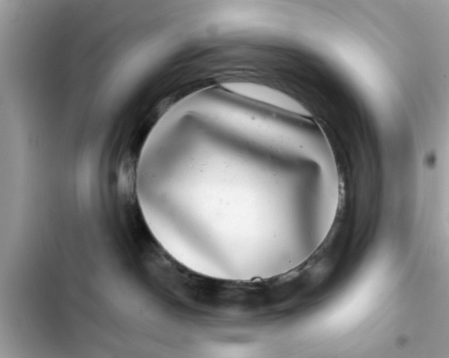 X0000102400190200808151951