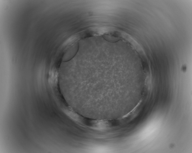 X0000102400191200808151951